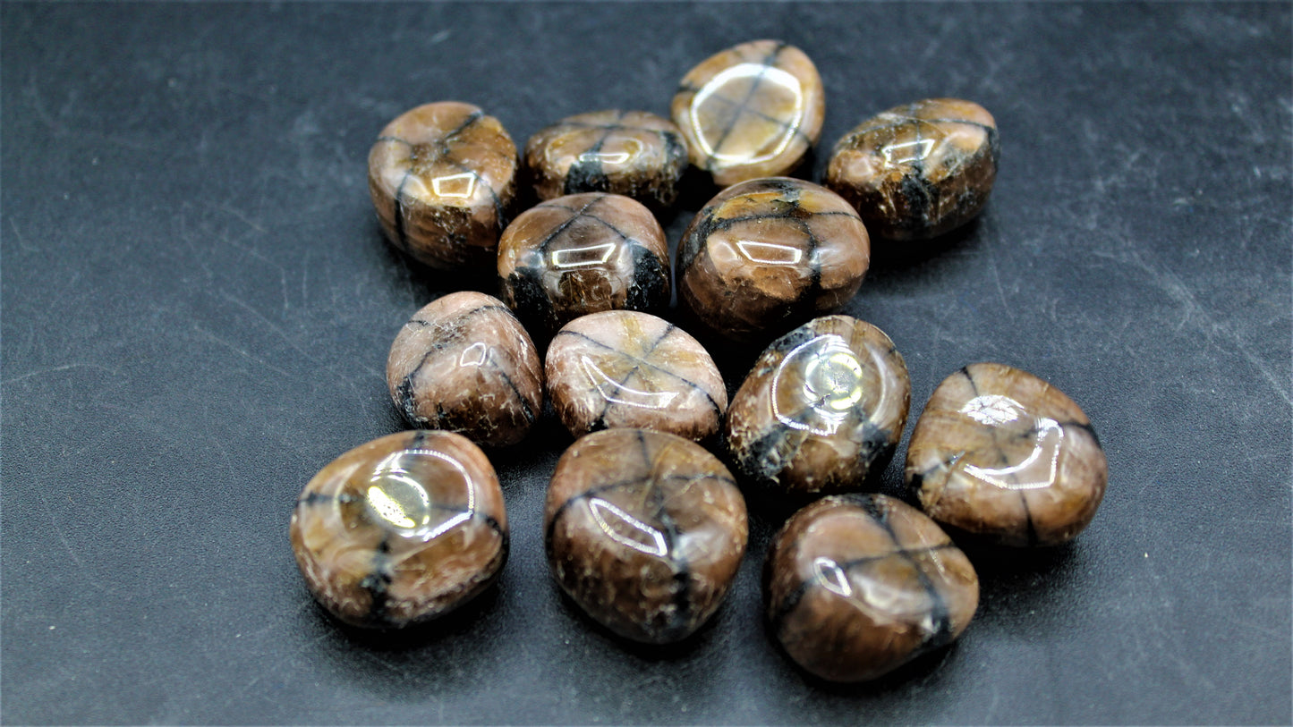 Chiastolite